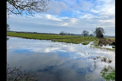 Flooded carrot fields near York